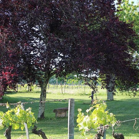 Sainte-Colombe  La Vigneraie De Laura Bed & Breakfast エクステリア 写真